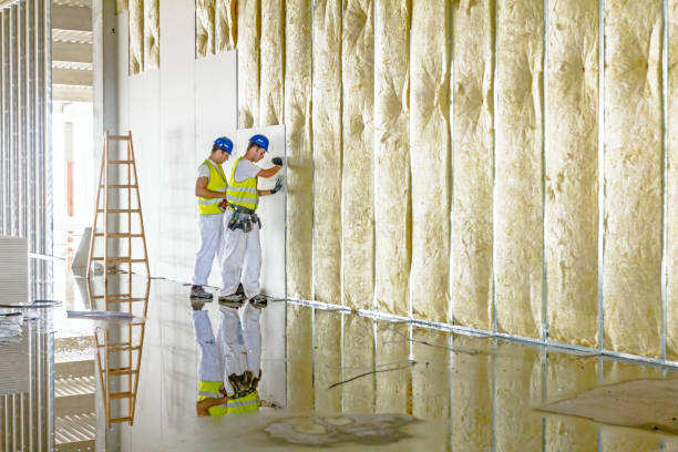 Best Insulation Installation Services in Davisboro, GA